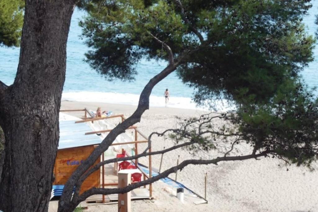 ミアミ・プラトーヤ Preciosa Casa Con Piscina Al Lado De La Playaヴィラ エクステリア 写真